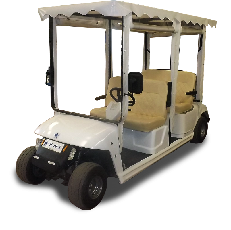 Elektrikli Yolcu Taşıma Araçları